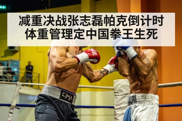 heavyweight boxing match
